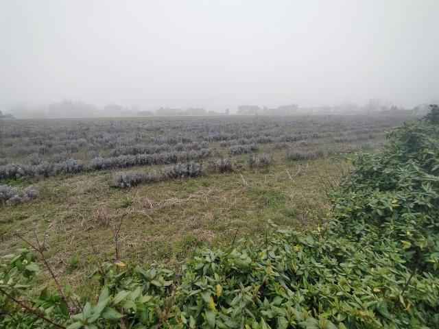 Terreno in vendita a Silea, Veneto