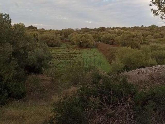 Terreno in vendita a Ostuni, Brindisi