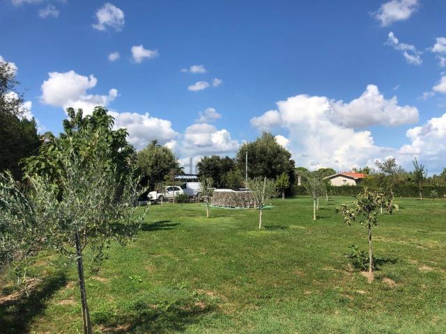 Terreno in vendita a Barbanella, Grosseto