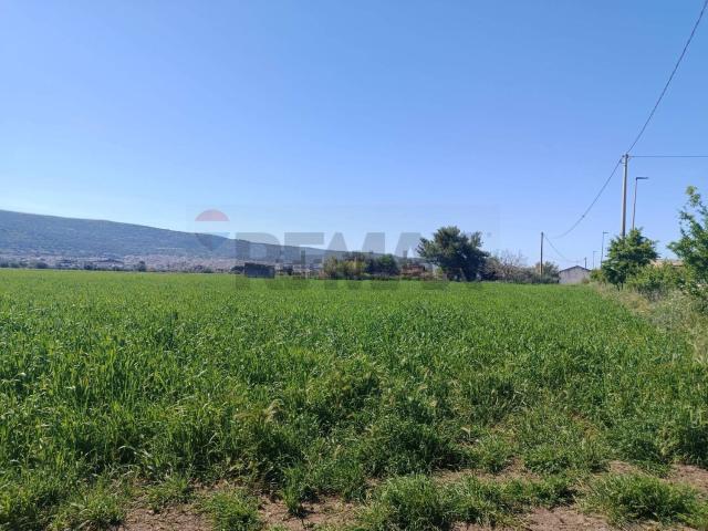 Terreno in vendita a Comiso, Sicilia