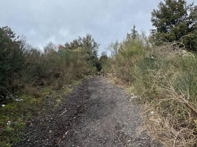 Terreno in vendita a Tarderia, Pedara