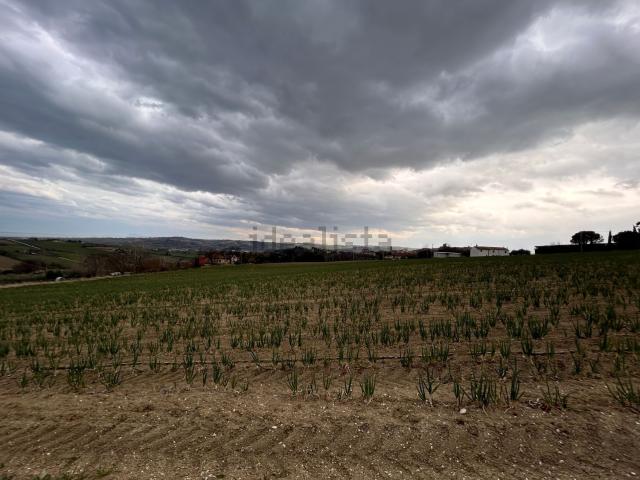 Terreno in vendita a Mondolfo, Pesaro e Urbino