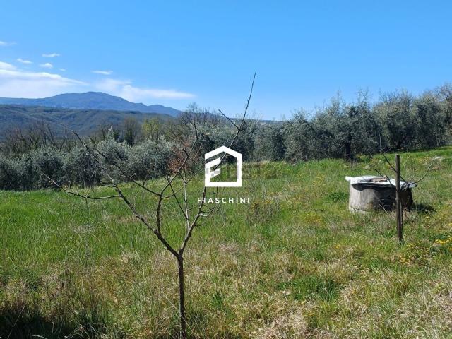 Terreno in vendita a Palombina, Giove