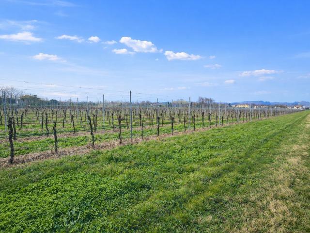 Terreno in vendita a Fonte, San Zenone Degli Ezzelini