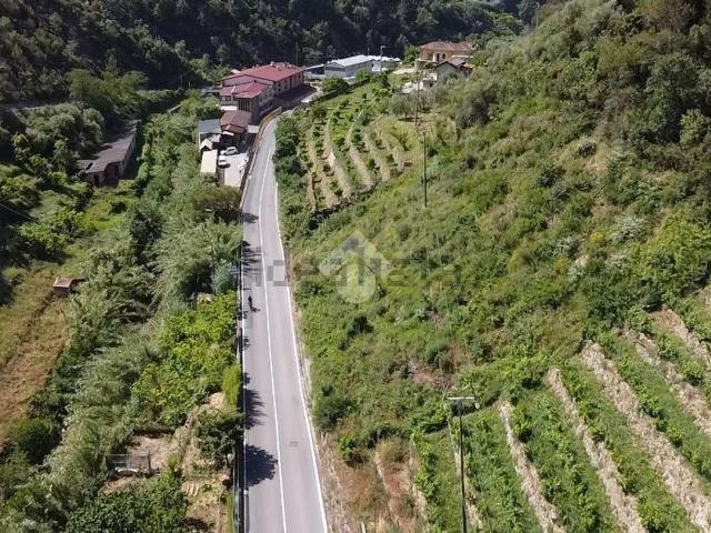 Terreno in vendita a Piemonte, Cuneo