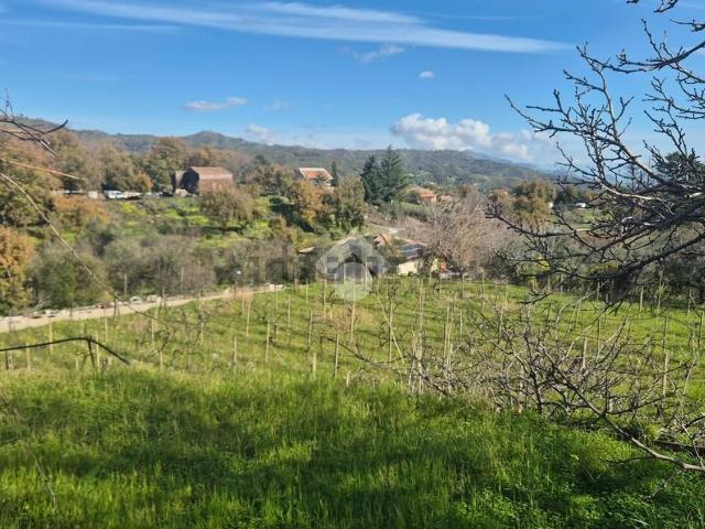 Terreno in vendita a Piedimonte Etneo, Sicilia