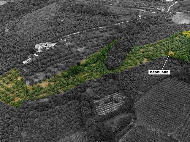 Terreno in vendita a Nord-Est, Brenzone