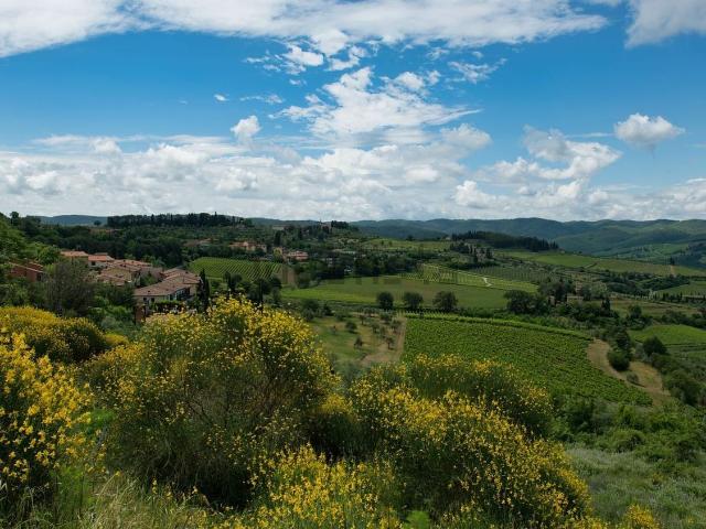 Terreno in vendita a Marche, Macerata