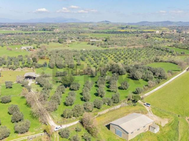 Terreno in vendita a Unione di Comuni Montani Colline del Fiora, Pitigliano