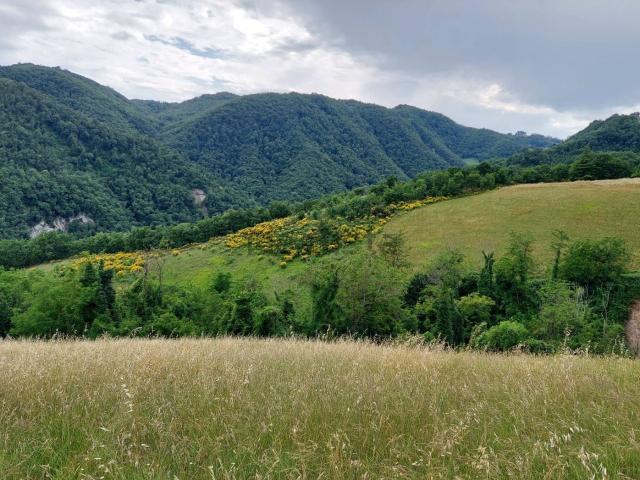 Terreno in vendita a Unione dei comuni Valli del Reno, Lavino e Samoggia, Sasso Marconi