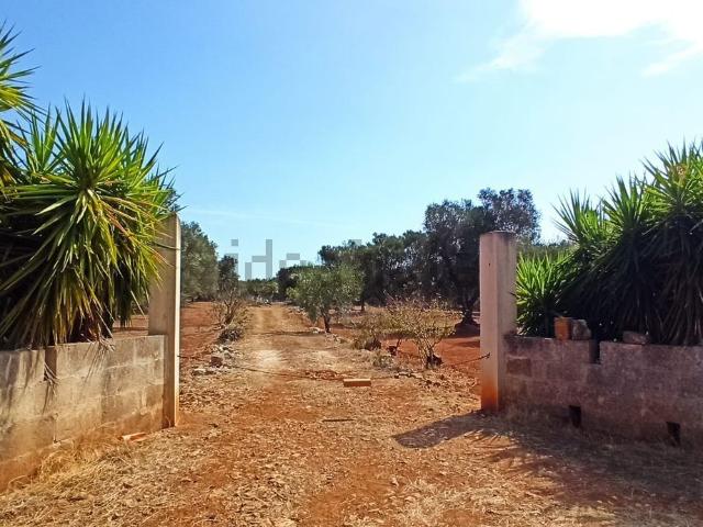 Terreno in vendita a Puglia, Brindisi