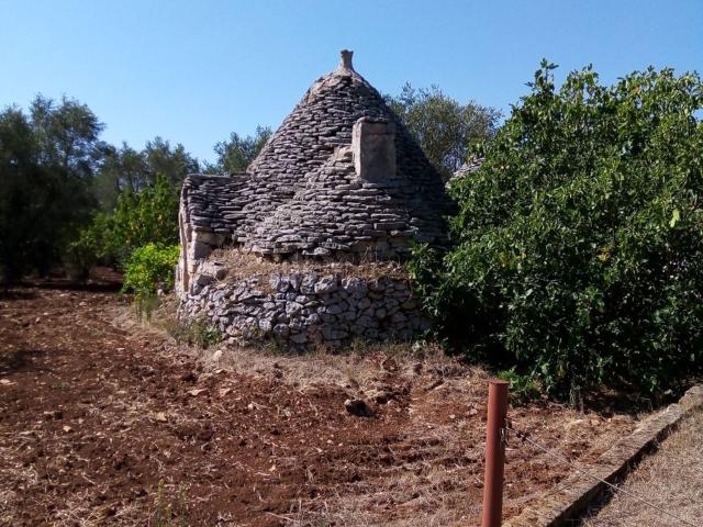 Terreno in vendita a Puglia, Brindisi