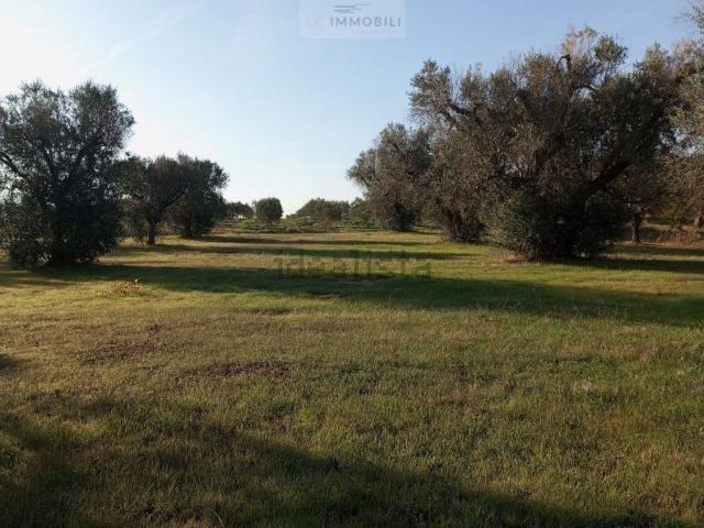 Terreno in vendita a Puglia, Brindisi