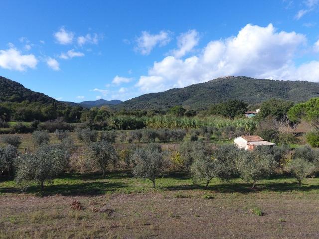 Terreno in vendita a Castiglione Della Pescaia, Toscana