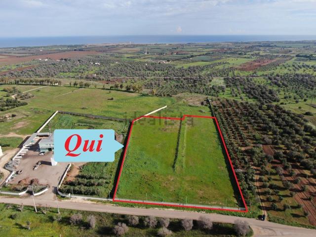 Terreno in vendita a Puglia, Brindisi