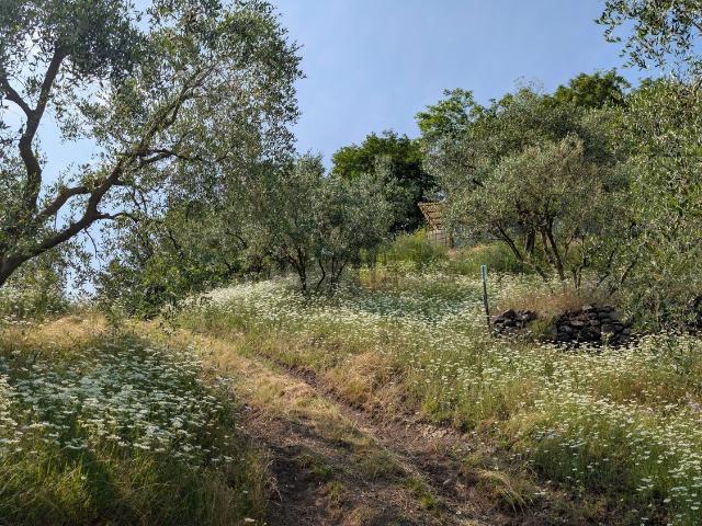 Terreno in vendita a Montorso Vicentino, Veneto