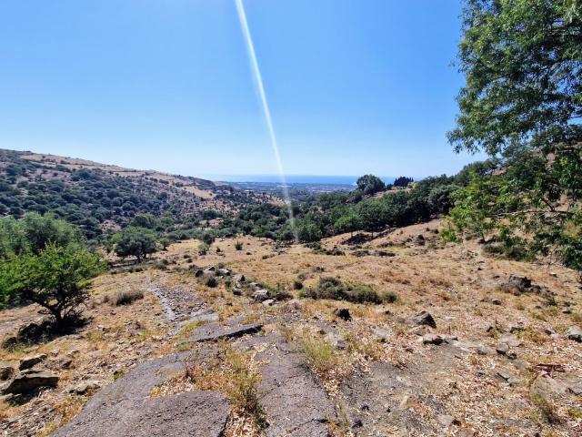 Terreno in vendita a Piedimonte Etneo, Sicilia