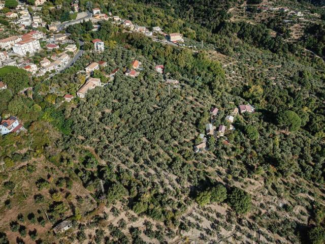Terreno in vendita a Sant'Elia, Calabria