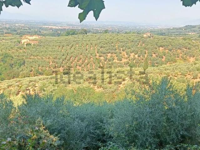 Terreno in vendita a Larciano, Cecina