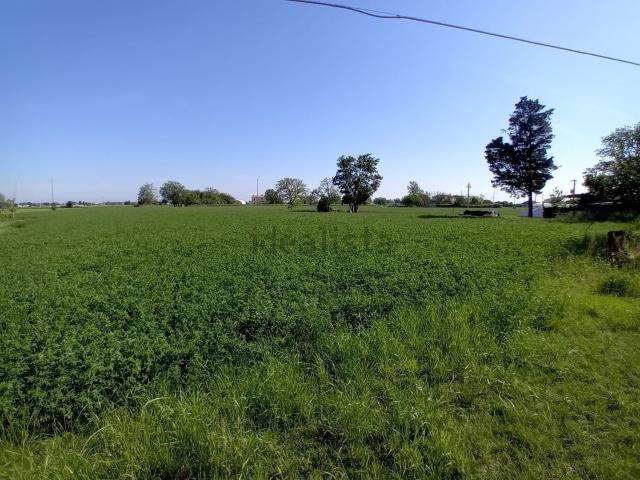 Terreno in vendita a San Giovanni In Bagno, Rimini