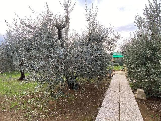 Terreno in vendita a Salivoli, Piombino