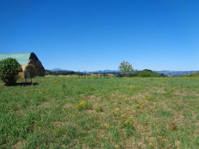 Terreno in vendita a Unione di comuni Terre di Castelli, Zocca