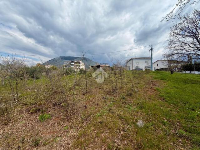 Terreno in vendita a Diamante, Cosenza
