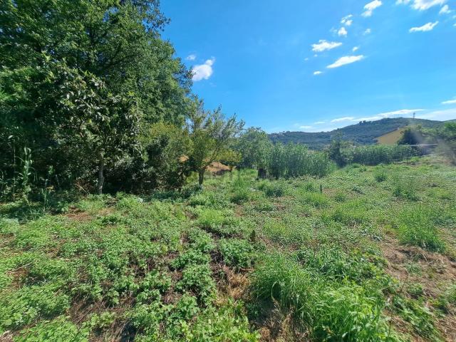 Terreno in vendita a Caramagnetta, Imperia