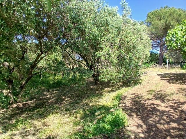 Terreno in vendita a Vitorchiano, Lazio