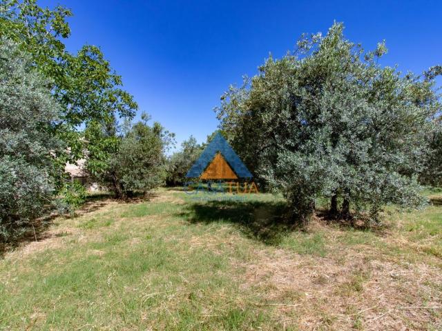 Terreno in vendita a San Martino, Montecchio