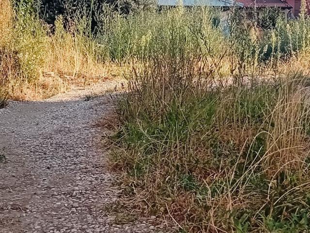 Terreno in vendita a Torreglia, Veneto