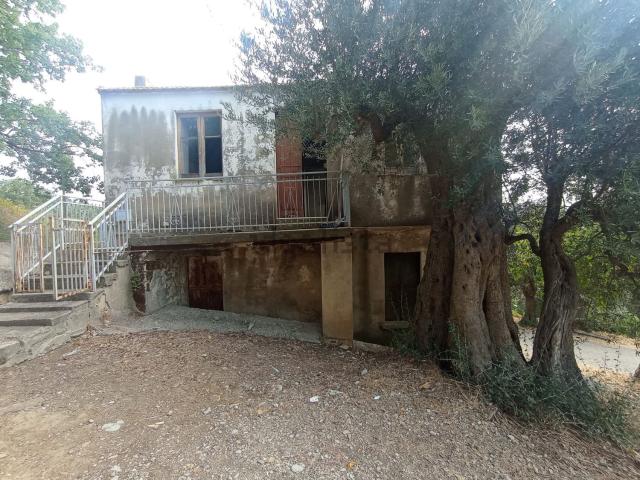 Terreno in vendita a Calabria, Cosenza