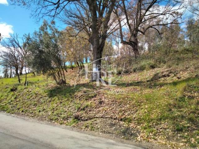 Terreno in vendita a Calabria, Cosenza