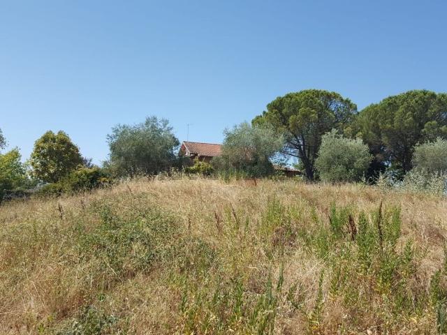 Terreno in vendita a Castelnuovo Berardenga, Toscana