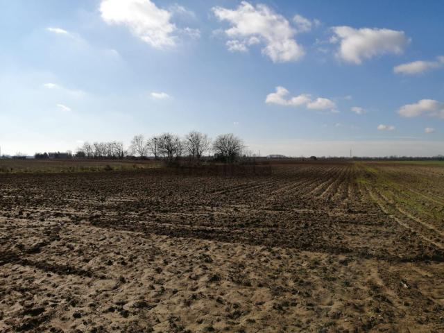 Terreno in vendita a Gazzo Veronese, Roncanova