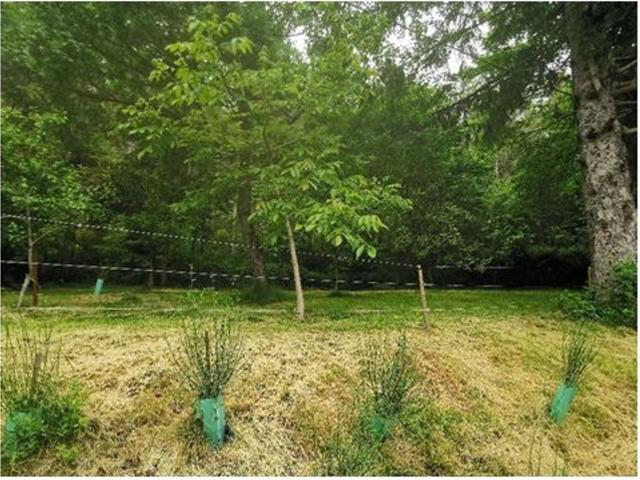 Terreno in vendita a Bagno Di Romagna, Reggio Emilia
