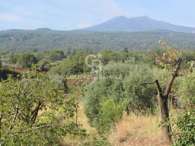 Terreno in vendita a Piedimonte Etneo, Sicilia