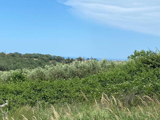 Terreno in vendita a Cupello, Abruzzo