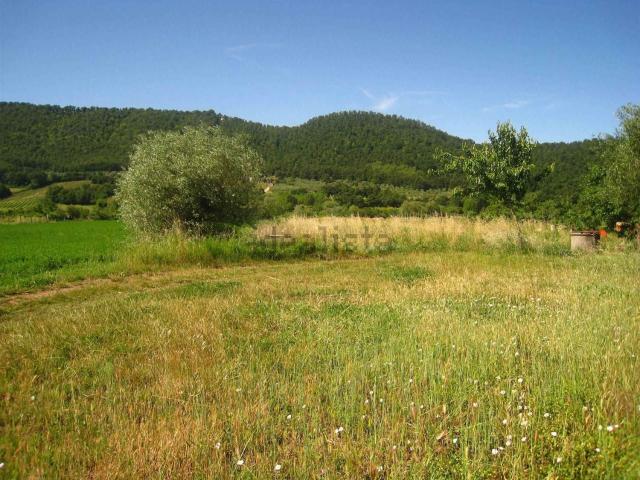 Terreno in vendita a Montefiascone, Lazio