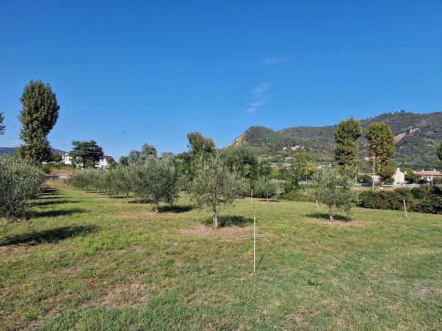 Terreno in vendita a Baone, Veneto