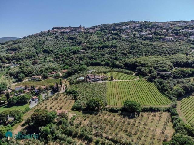 Terreno in vendita a Località Massa Vecchia, Massa Marittima