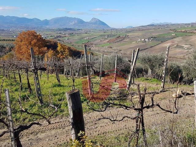 Terreno in vendita a Benevento, Campania