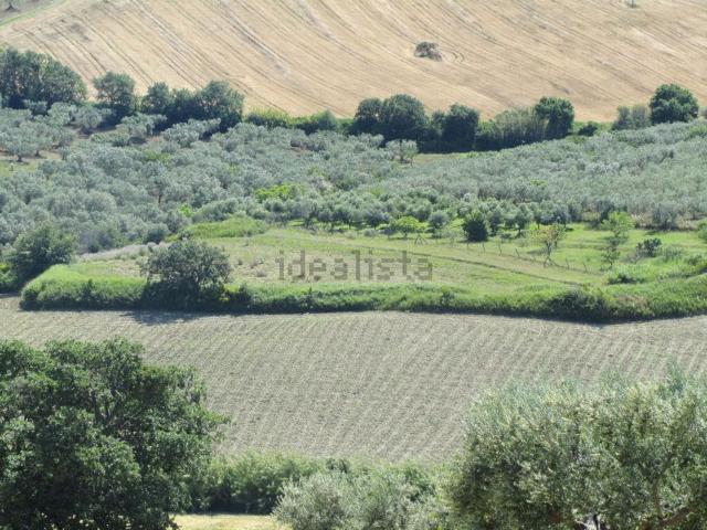 Terreno in vendita a Guglionesi, Molise