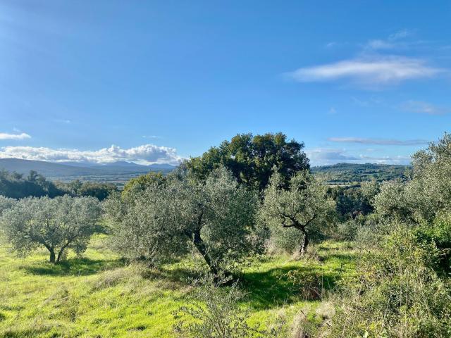 Terreno in vendita a Massa Marittima, Toscana