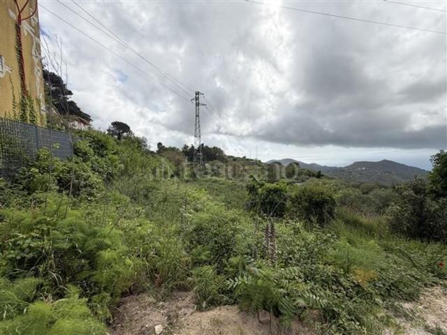 Terreno in vendita a VI Circoscrizione, Messina