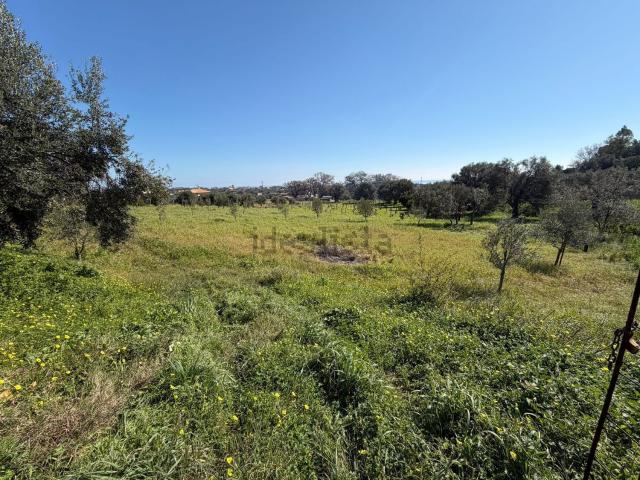Terreno in vendita a Calabria, Reggio Calabria