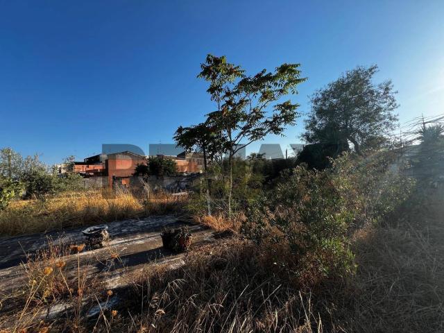 Terreno in vendita a Piano Tavola, Camporotondo Etneo