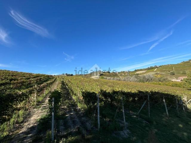 Terreno in vendita a Piemonte, Asti