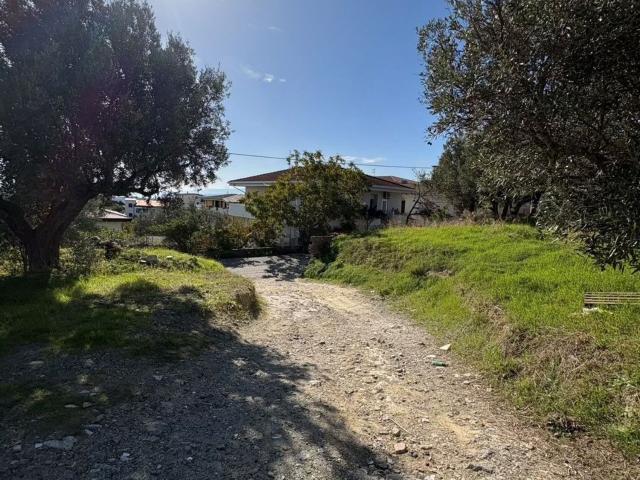 Terreno in vendita a Siano, Catanzaro