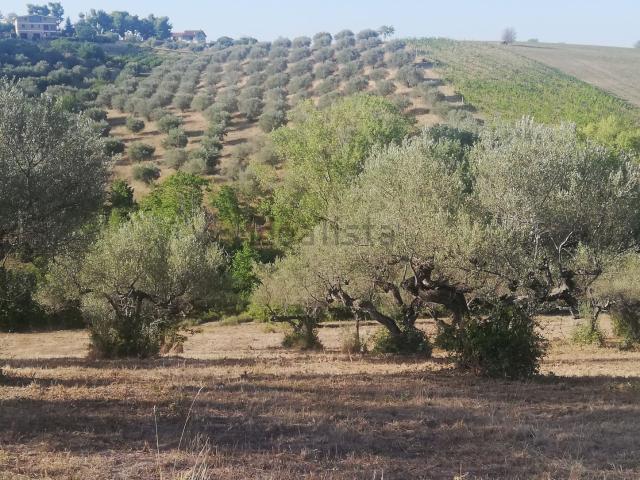Terreno in vendita a Pianella, Abruzzo